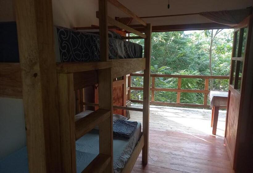 Tonat Caribe Hostel01