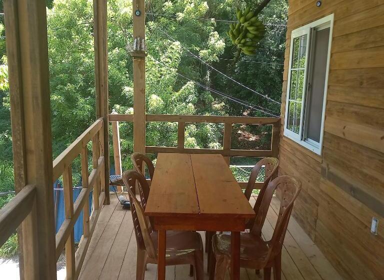 Tonat Caribe Hostel01