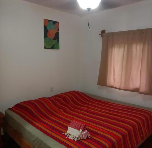 Tonat Caribe Hostel01