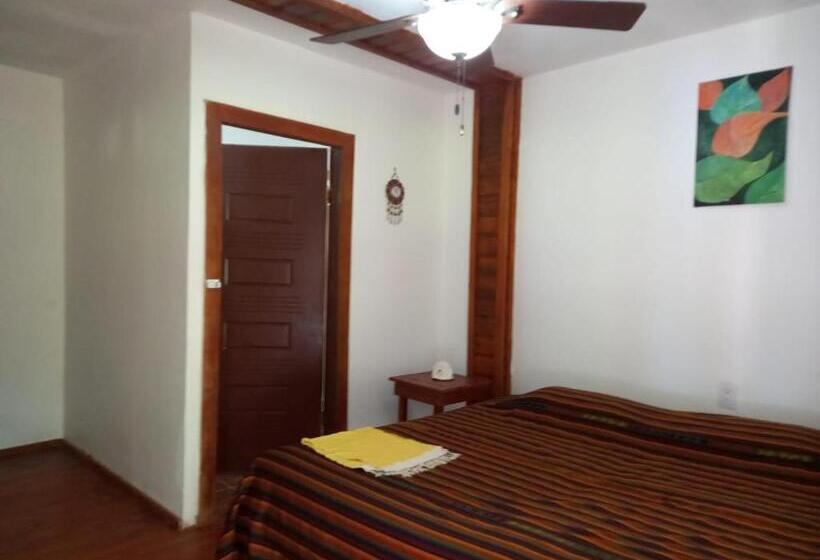 Tonat Caribe Hostel01