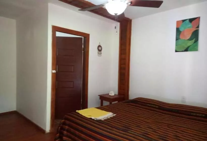 Tonat Caribe Hostel01