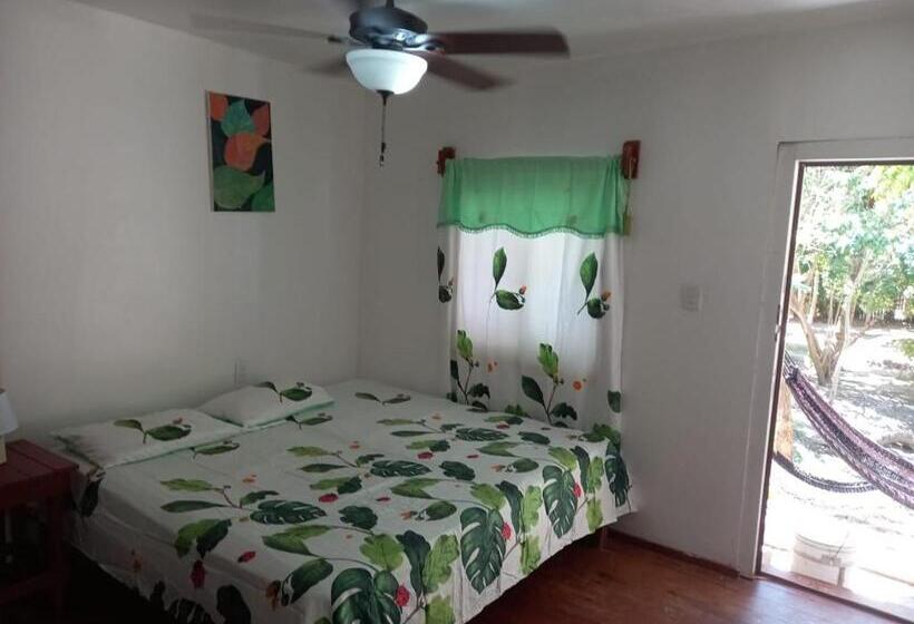 Tonat Caribe Hostel01