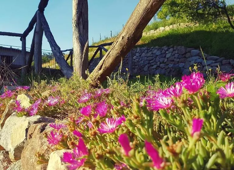 ホテル La Peschiera Sul Vara B&b