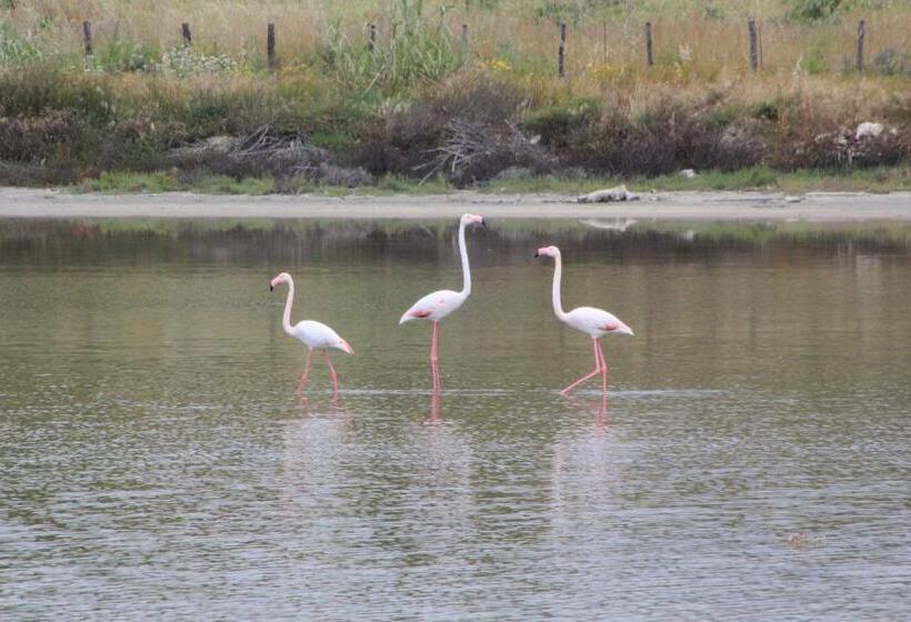 פנסיון Camere Amarzè Plus