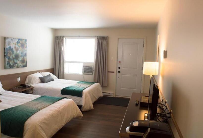 ユースホステル Auberge Le Parasol