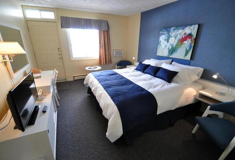 ユースホステル Auberge Le Parasol