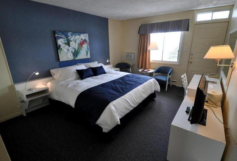 ユースホステル Auberge Le Parasol