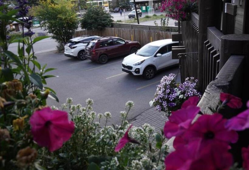 Banff International Hostel