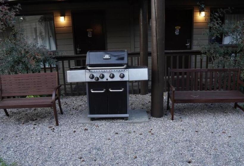 Banff International Hostel