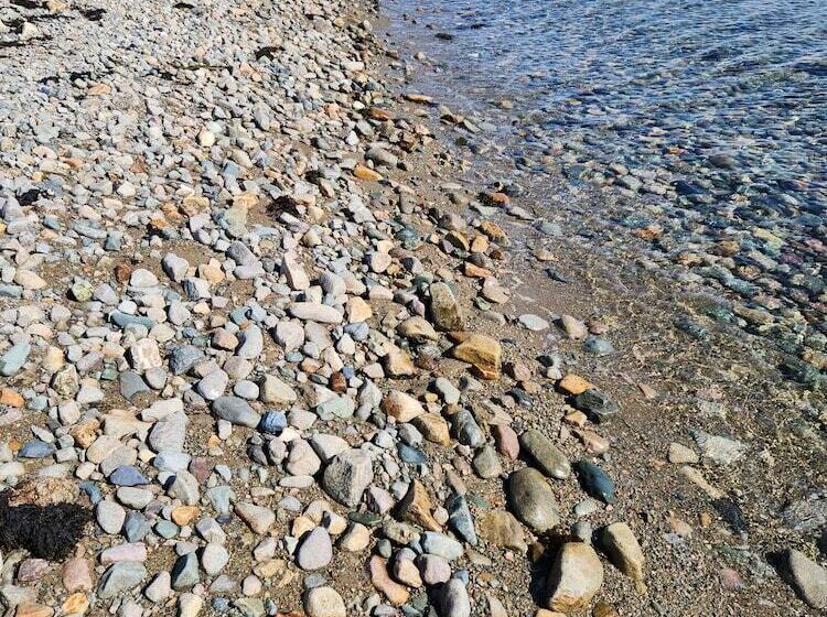 مبيت وإفطار Louisbourg Heritage House