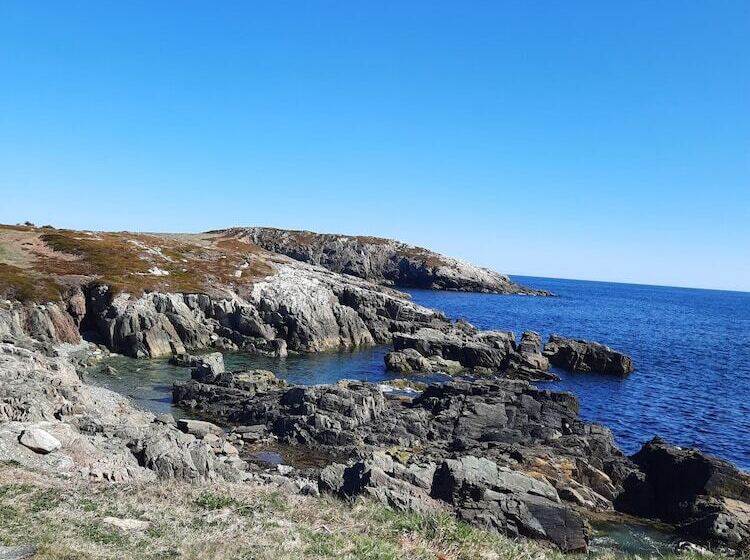 مبيت وإفطار Louisbourg Heritage House