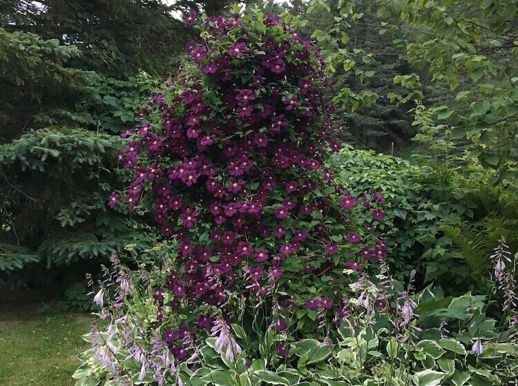 צימר Maison Ancestrale Simard 1852