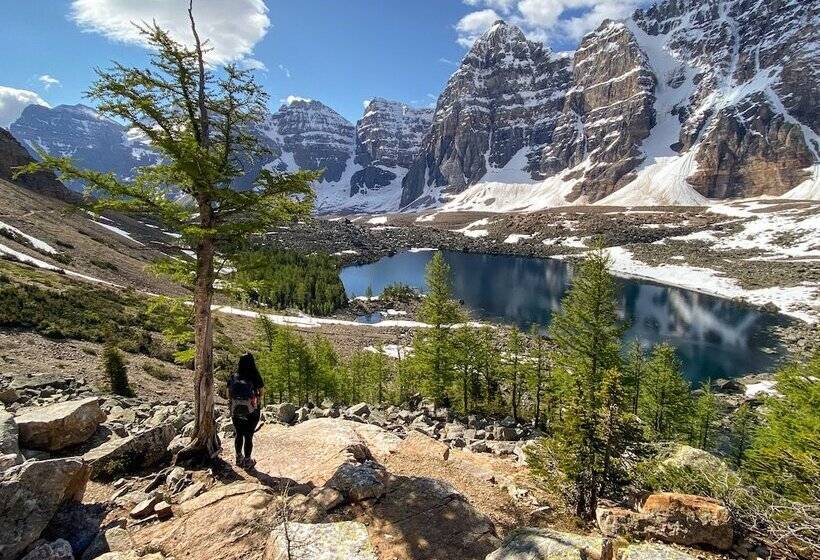 Hi Banff Alpine Centre   Hostel