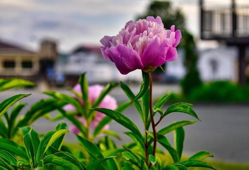 Motel Au Vieux Frontenac