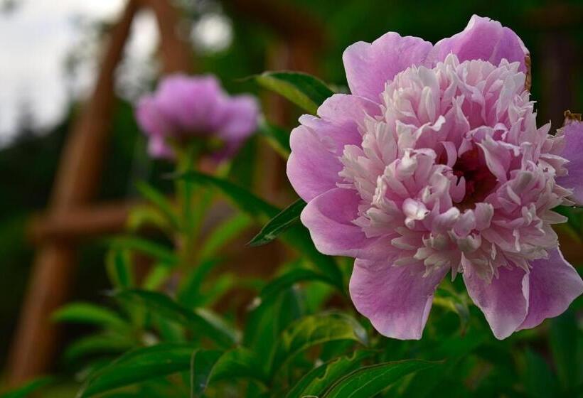 Motel Au Vieux Frontenac