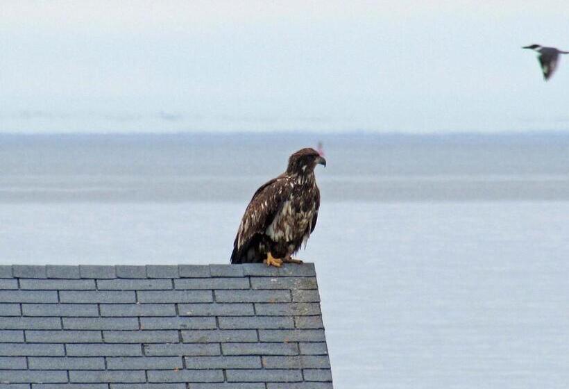 リゾートホテル Seascape Coastal Retreat   Adults Only   Hot Tubs