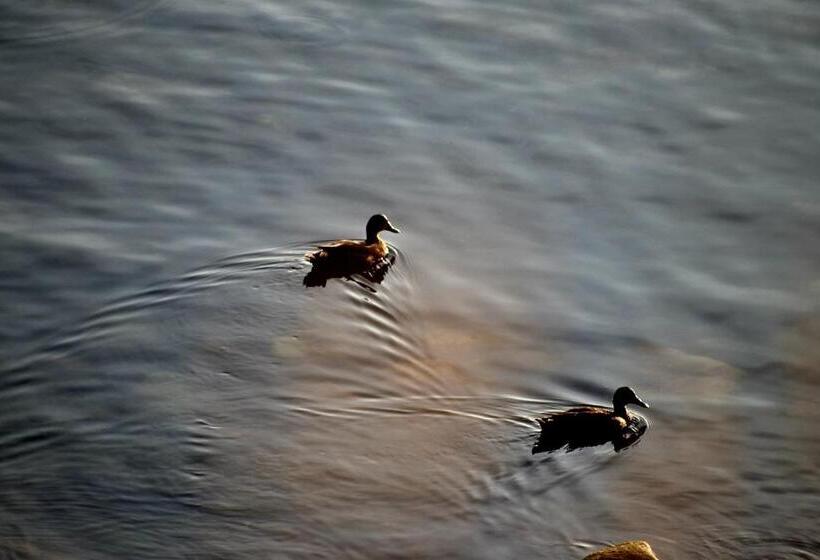 リゾートホテル Seascape Coastal Retreat   Adults Only   Hot Tubs