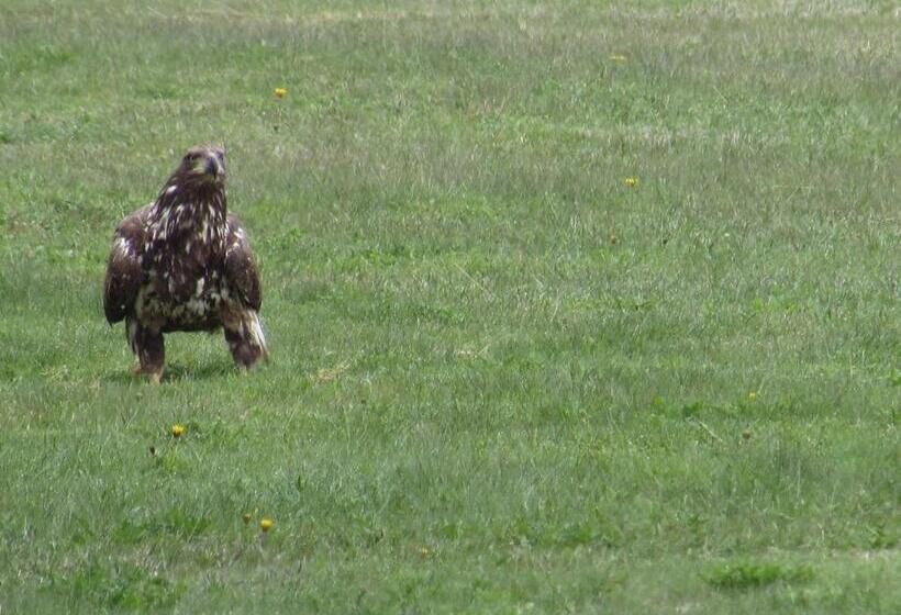 リゾートホテル Seascape Coastal Retreat   Adults Only   Hot Tubs