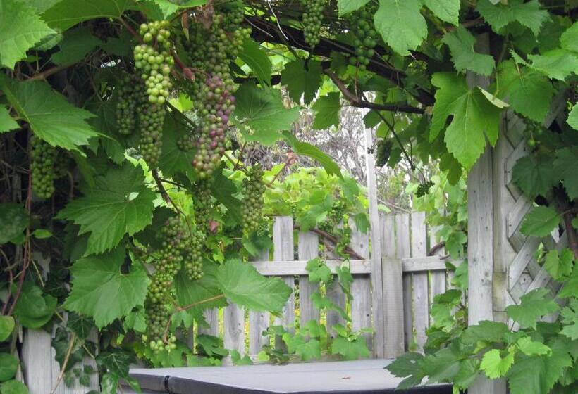 リゾートホテル Seascape Coastal Retreat   Adults Only   Hot Tubs