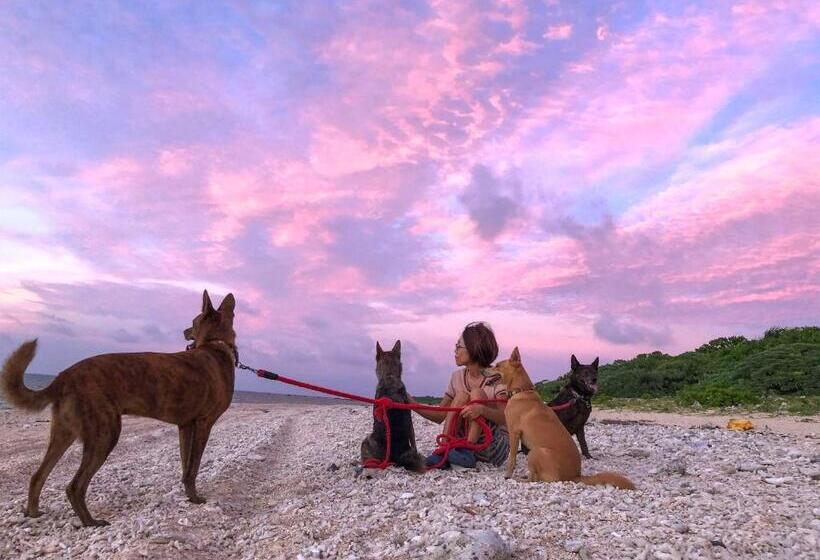 旅館 Minshuku Irayoi