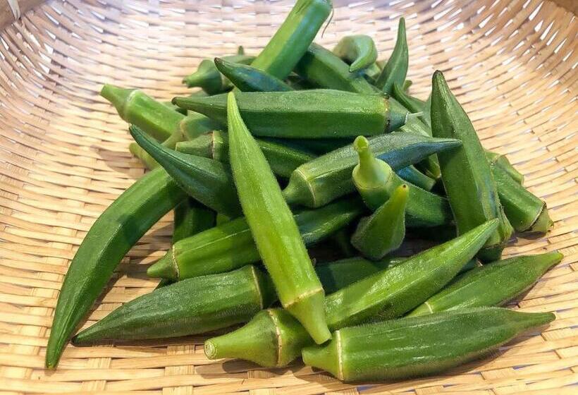 旅館 Minshuku Irayoi