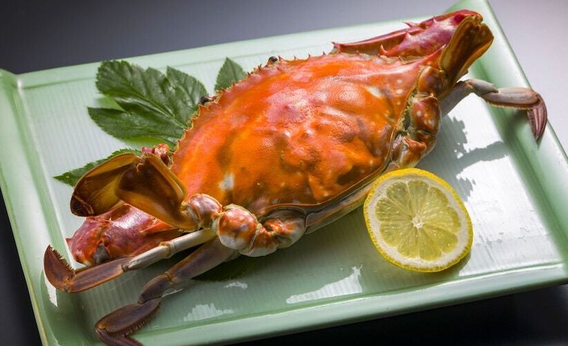 ריוקאן Shinojima Royal Hotel Kasuiso