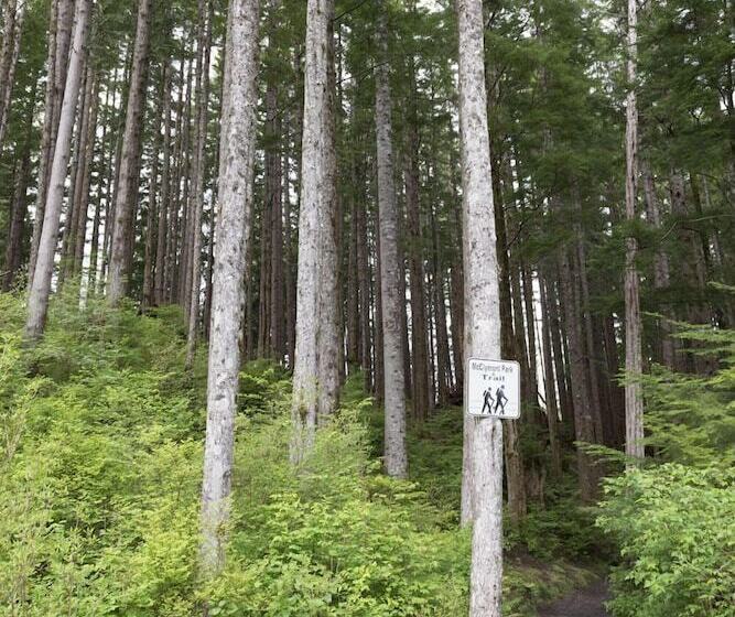 Tall Trees Bed & Breakfast