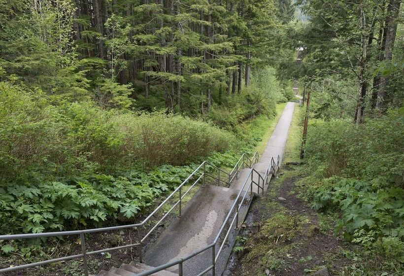 Tall Trees Bed & Breakfast