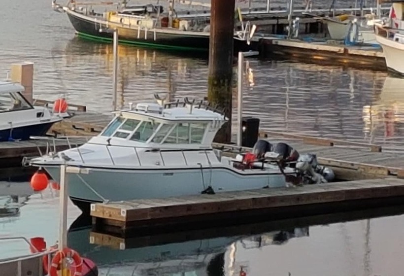 Tall Trees Bed & Breakfast