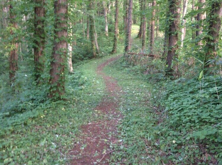 Alberg Niseko Tabitsumugi Backpackers