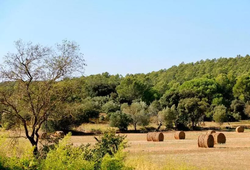 ベッドアンドブレックファースト Can Barrull Costa Brava Emporda
