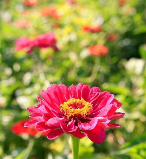 민박 Can Barrull Costa Brava Emporda