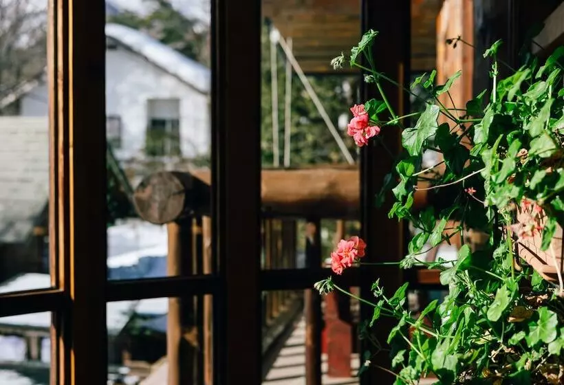 تختخواب و صبحانه Hakuba Pension & Log Hotel Meteor