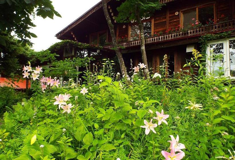 צימר Pension Apple