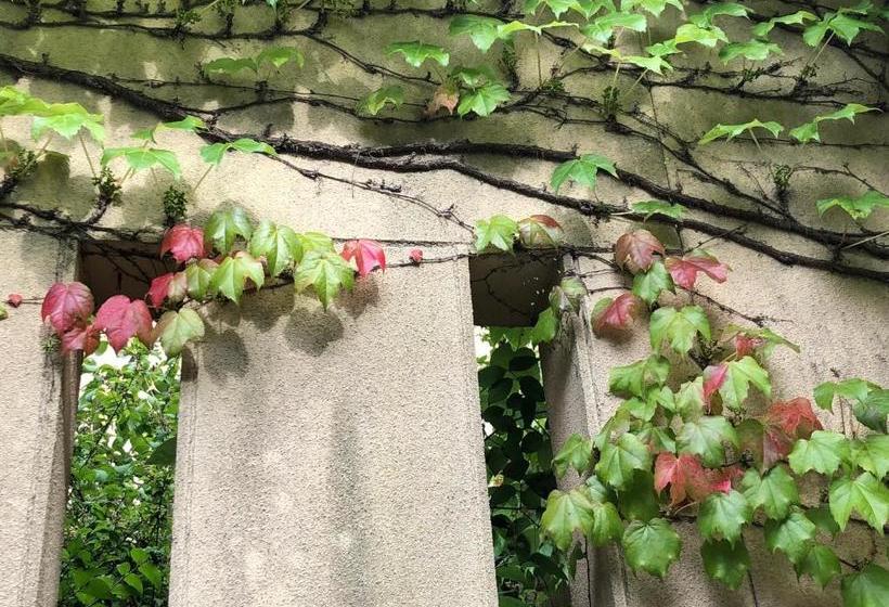 Cafe Restaurant B&b Burari