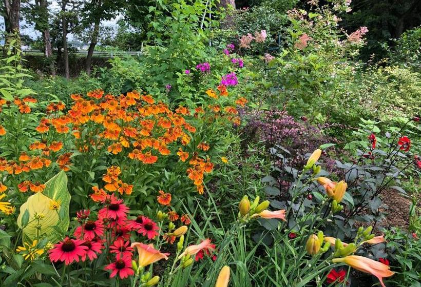 Cafe Restaurant B&b Burari