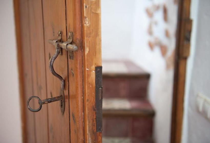 Отель Almohalla 51