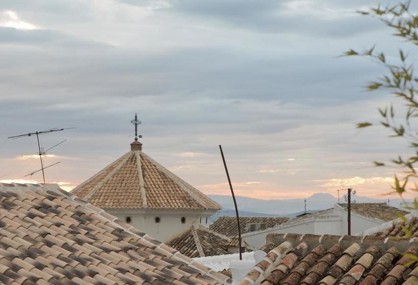 Отель Almohalla 51