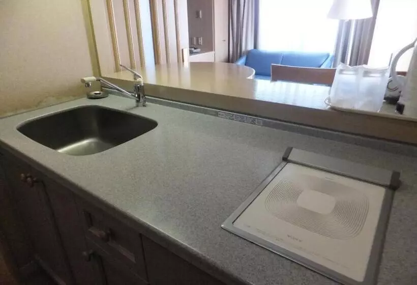 هتل Alpha Inn Akita