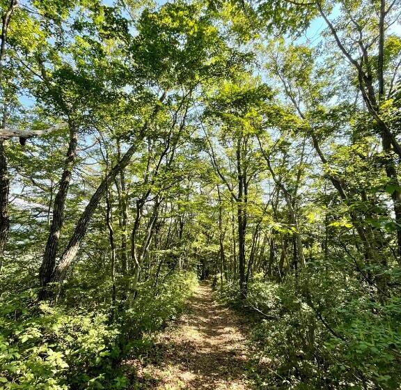 Hotelli Bears Den Mountain Lodge