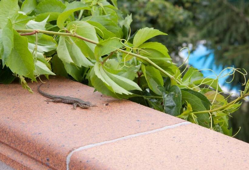 בית מלון כפרי Casa Duaner