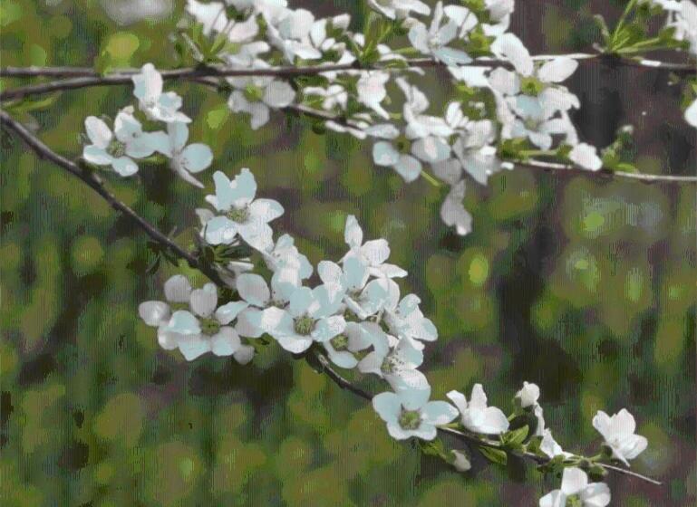בית מלון כפרי Grass Hopper