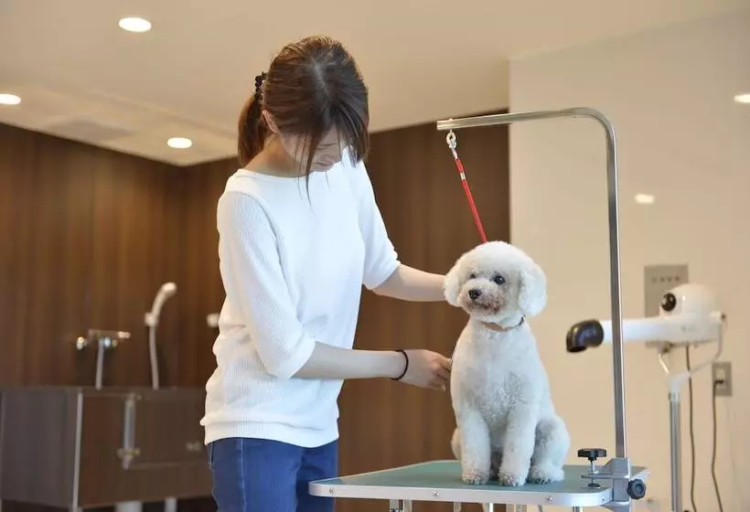 Hotelli Izumigo Toba Dog Paradise
