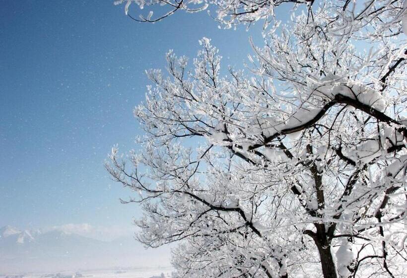 ホテル Pension And Restaurant La Collina