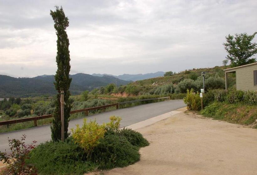 住所  Camping Terra Alta