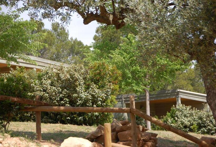 住所  Camping Terra Alta