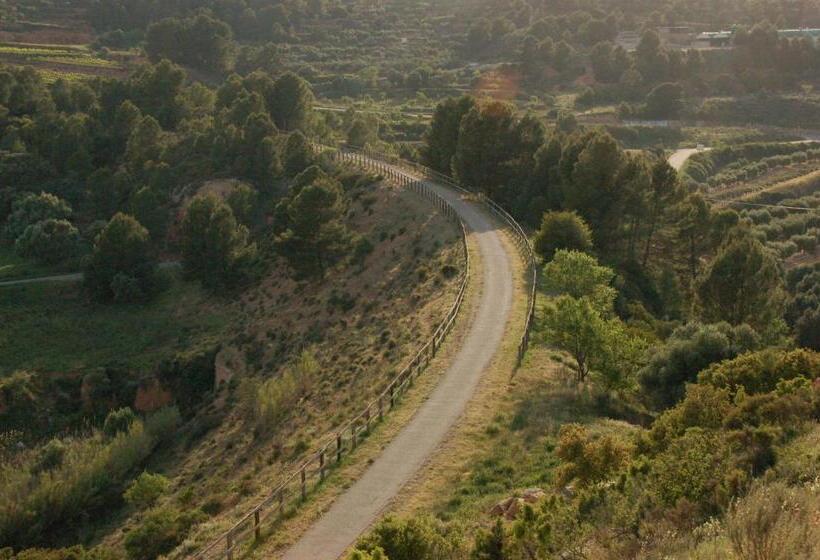 住所  Camping Terra Alta