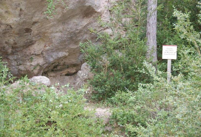 住所  Camping Terra Alta