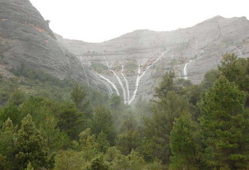 住所  Camping Terra Alta