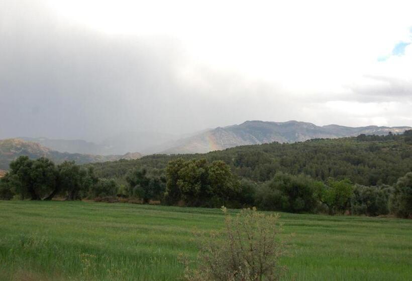 住所  Camping Terra Alta